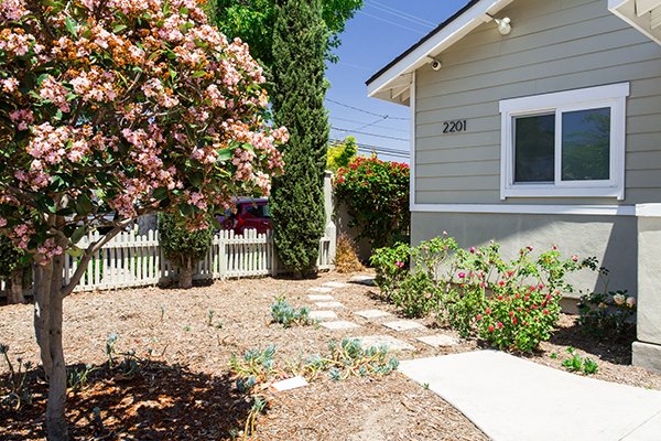 2201-cypress-14
